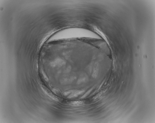 X0000070190059200606161601