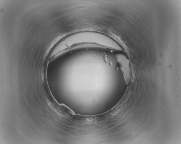 X0000070190060200606161601