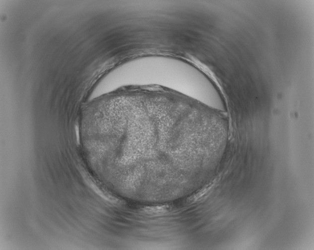 X0000070190061200606161601