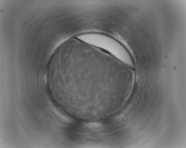 X0000070190063200606161601