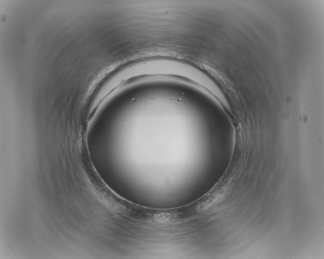 X0000070190064200606161601