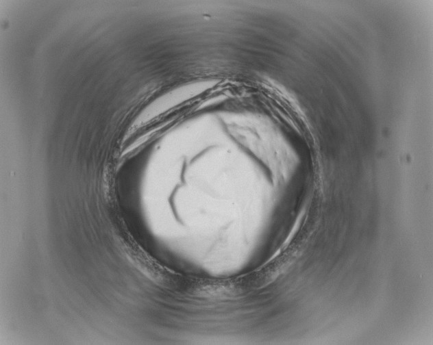 X0000070190065200606161601