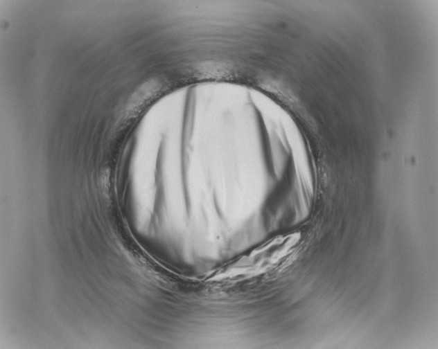 X0000070190066200606161601