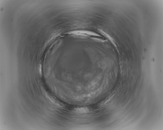 X0000070190067200606161601