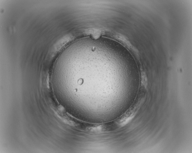 X0000070190068200606161601