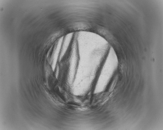 X0000070190070200606161601