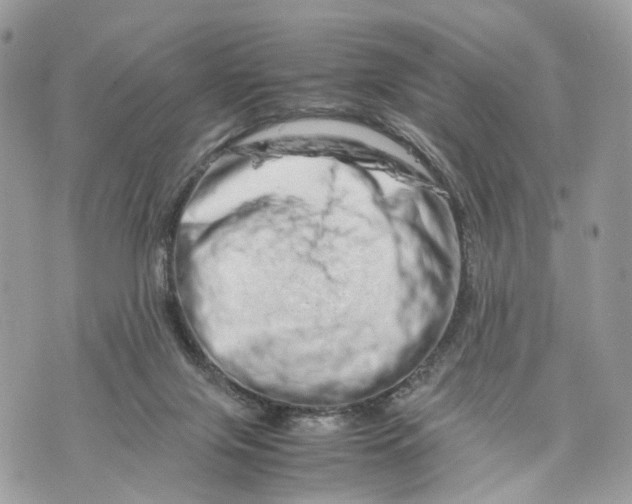 X0000070190071200606161601