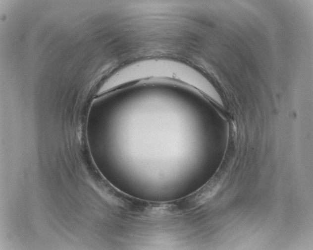 X0000070190072200606161601