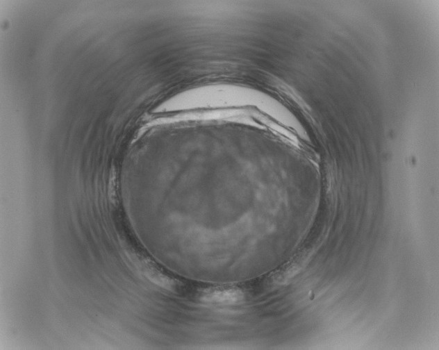 X0000070190073200606161601