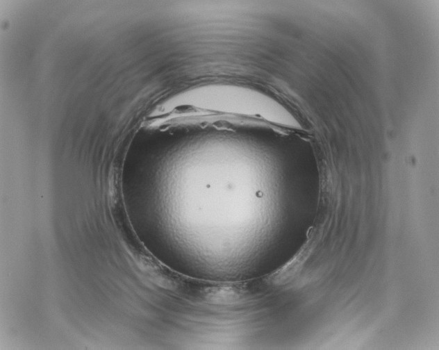 X0000070190074200606161601