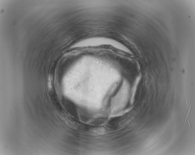 X0000070190075200606161601