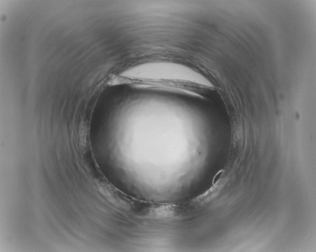 X0000070190078200606161601