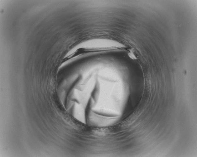 X0000070190079200606161602