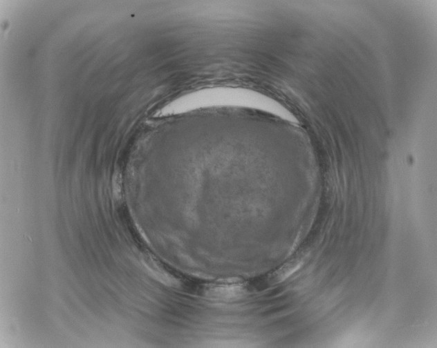 X0000070190081200606161602