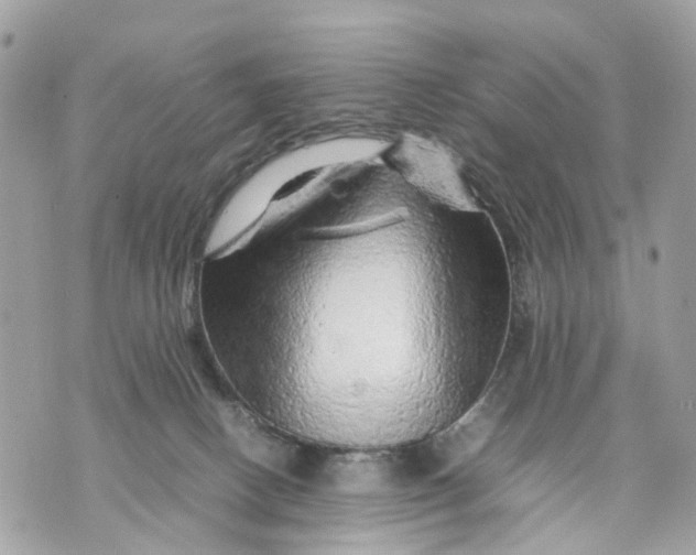 X0000070190082200606161602