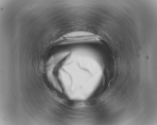 X0000070190083200606161602