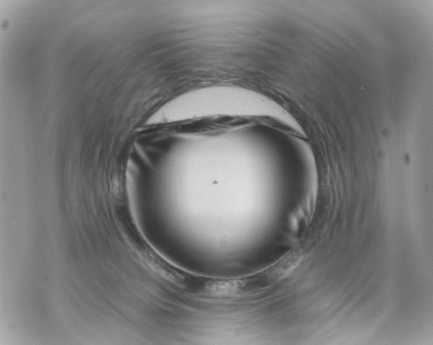 X0000070190084200606161602