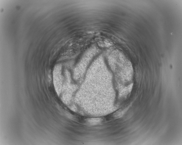 X0000070190085200606161602