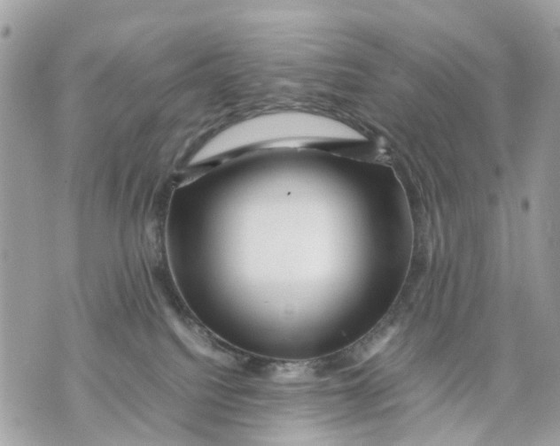 X0000070190088200606161602