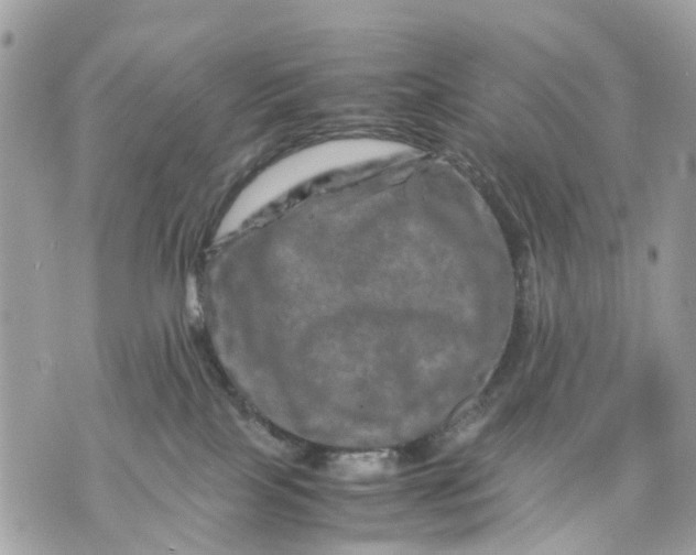 X0000070190089200606161602