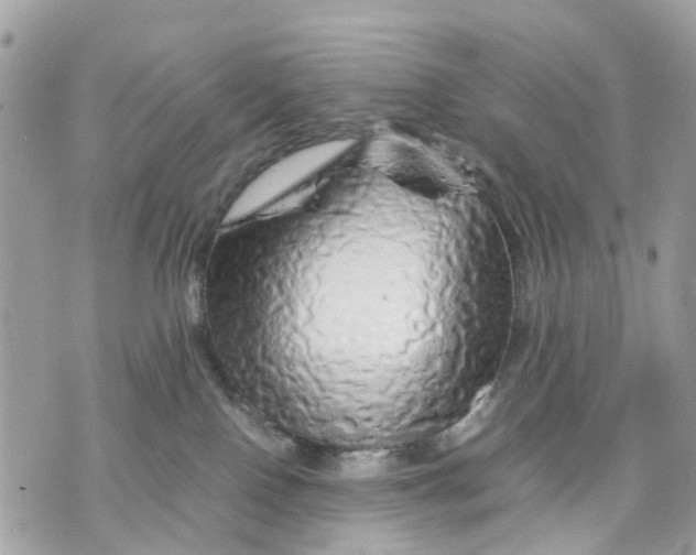 X0000070190090200606161602