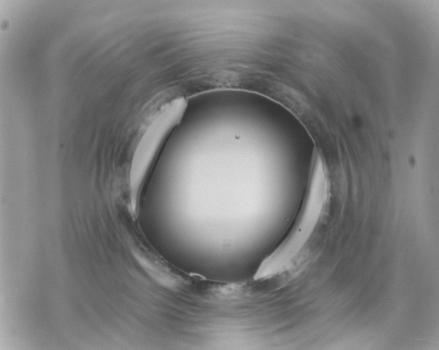 X0000070190092200606161602