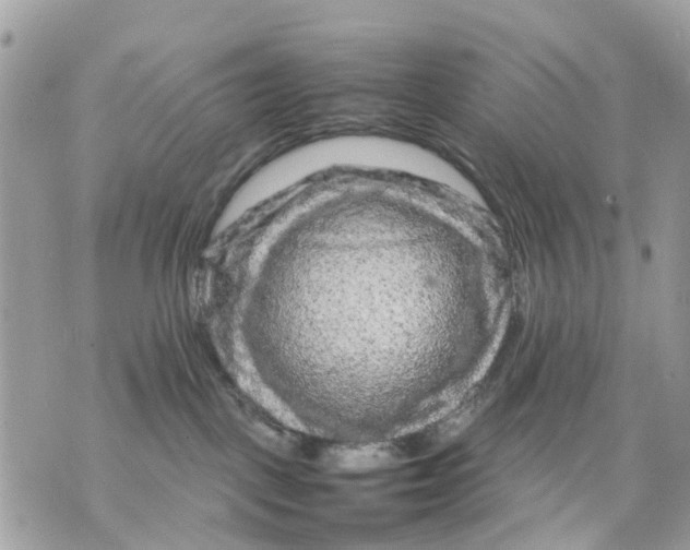 X0000070190093200606161602