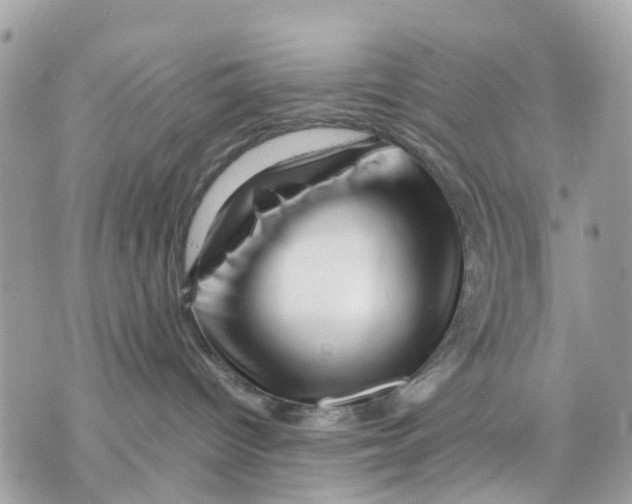 X0000070190096200606161602