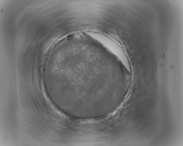 X0000070190097200606161601