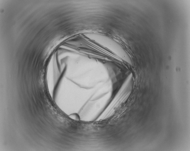 X0000070190098200606161601