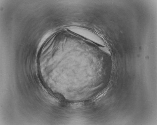 X0000070190102200606161601