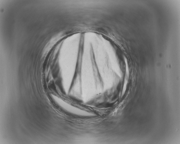 X0000070190103200606161601