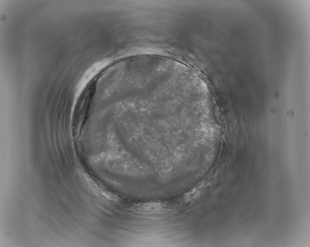 X0000070190104200606161601