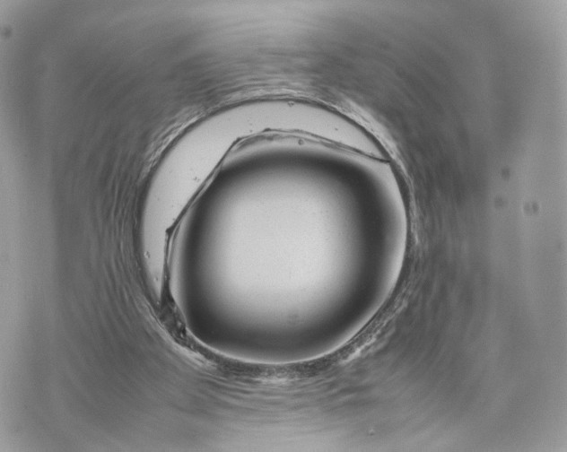 X0000070190105200606161601