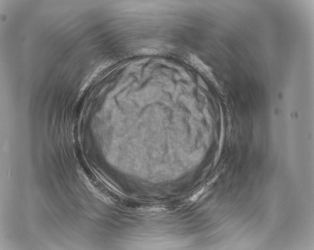 X0000070190106200606161601