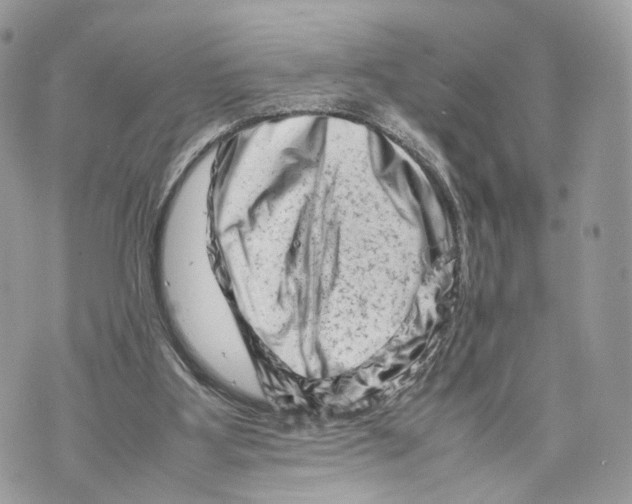 X0000070190107200606161601