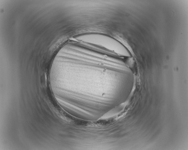 X0000070190109200606161601