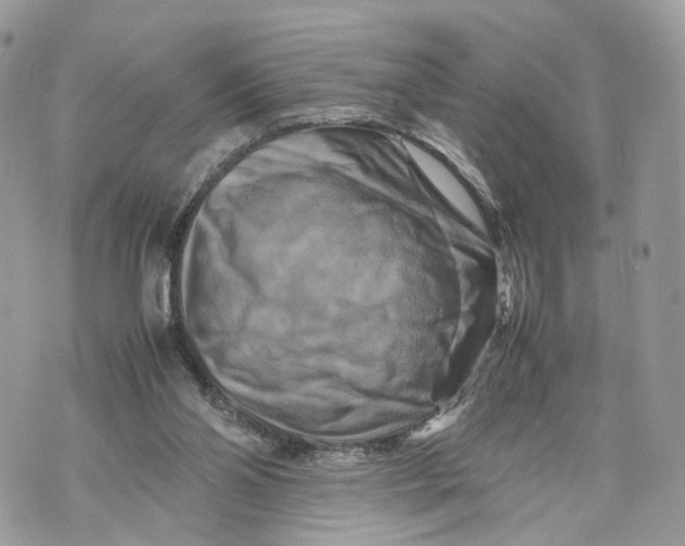 X0000070190110200606161601