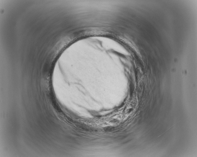 X0000070190111200606161601