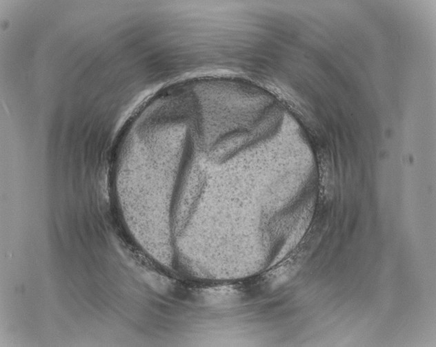 X0000070190112200606161601