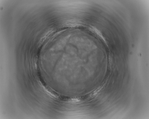 X0000070190114200606161601