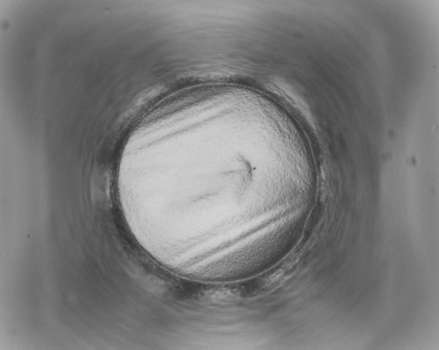 X0000070190115200606161601