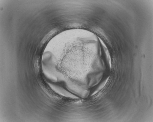 X0000070190116200606161601