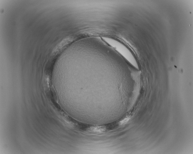 X0000070190117200606161601