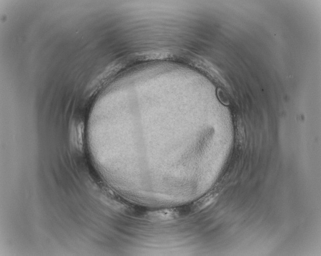 X0000070190118200606161601