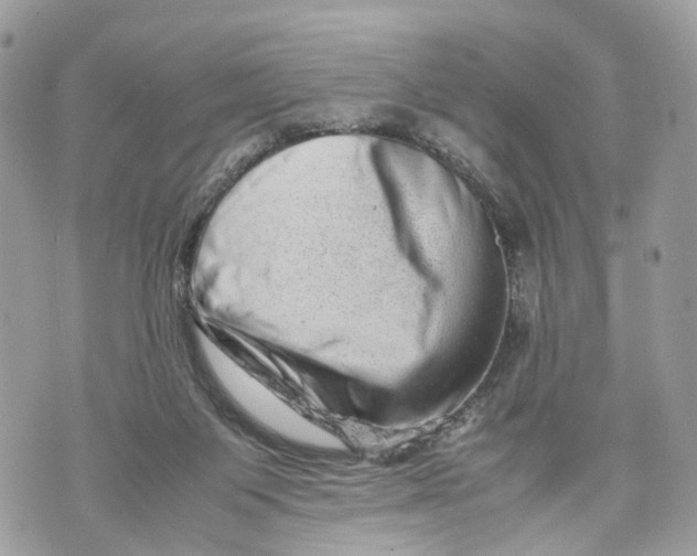 X0000070190119200606161601