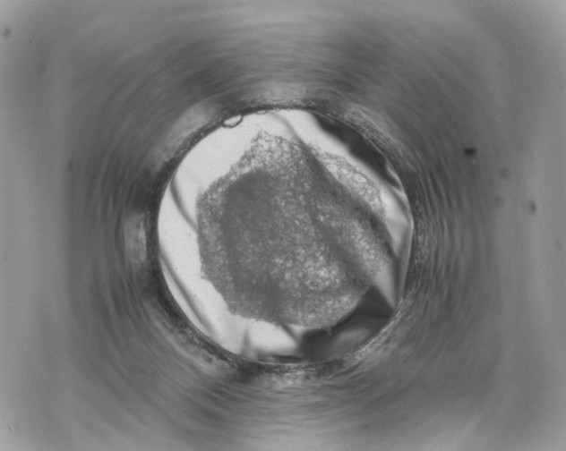 X0000070190120200606161601