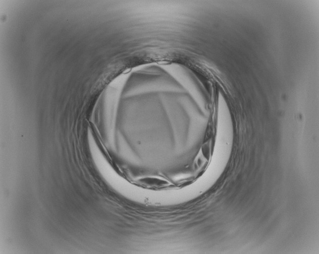 X0000070190121200606161601