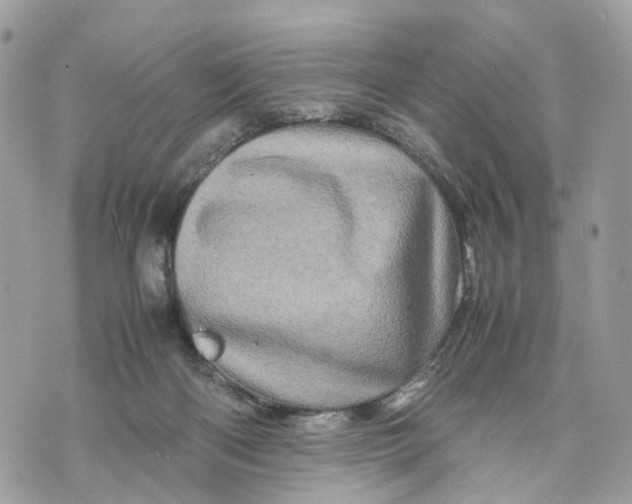 X0000070190122200606161601