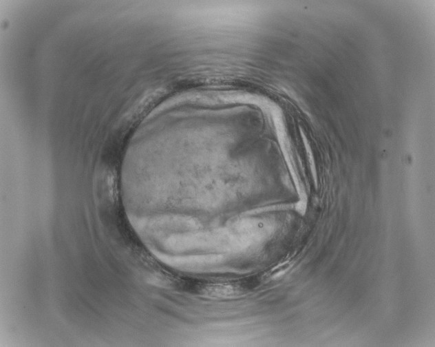 X0000070190123200606161601